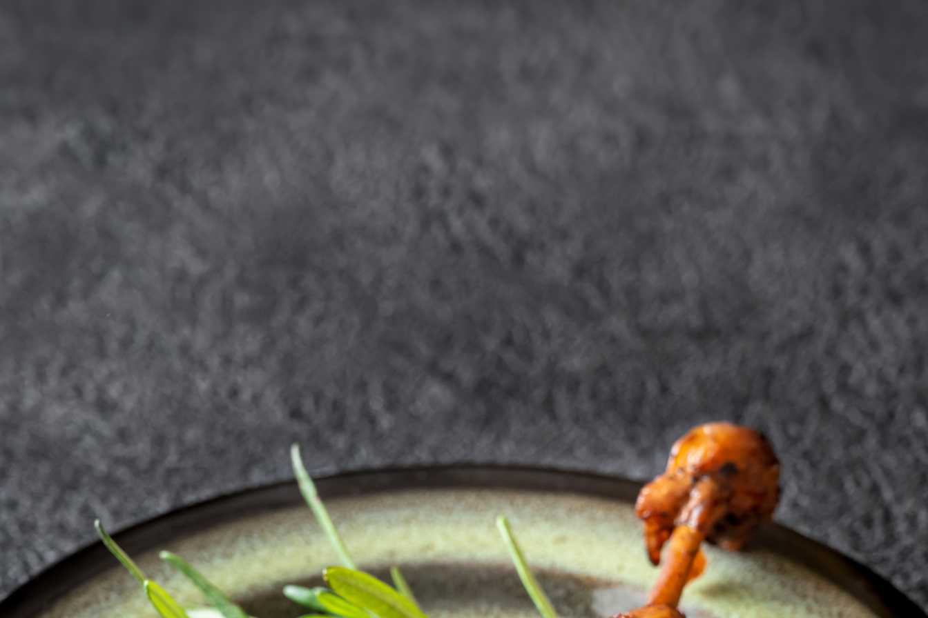 marinade pour aiguillettes de canard a la plancha 1